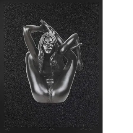 Сериграфия Quinn - Stealth Kate