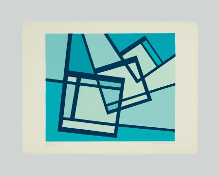 Сериграфия Radice - La distruzione