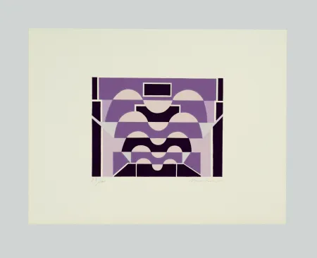 Сериграфия Radice - Tutta intera