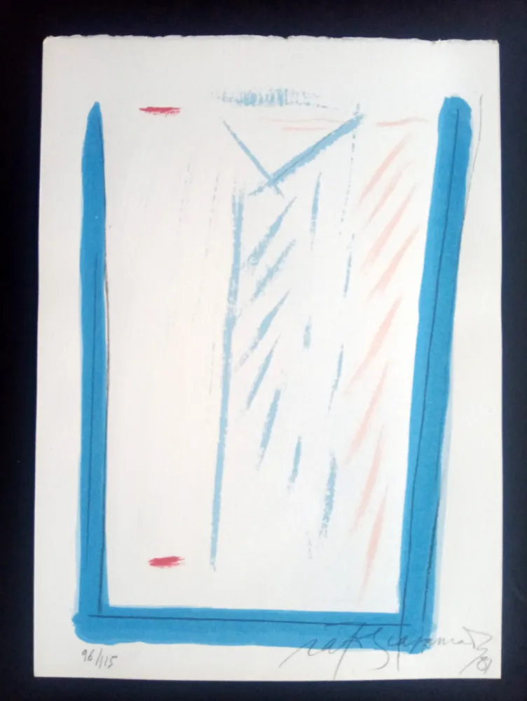 Сериграфия Ràfols Casamada - Episodi VI