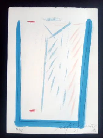 Сериграфия Ràfols Casamada - Episodi VI