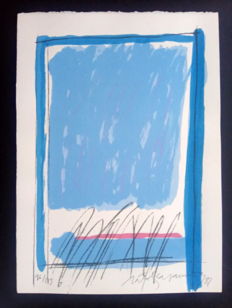 Сериграфия Ràfols Casamada - Episodi VIII