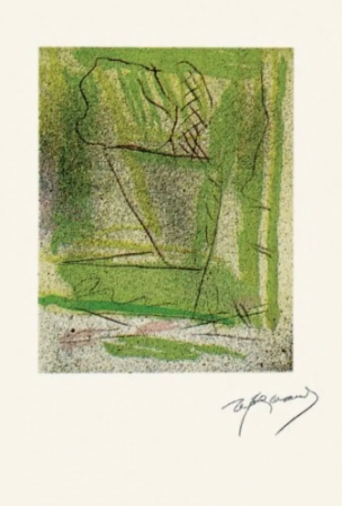 Гравюра Ràfols Casamada - Floral-3	