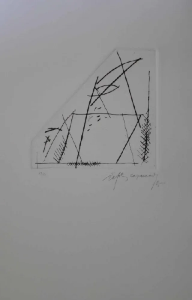 Гравюра Ràfols Casamada - Jardí 4