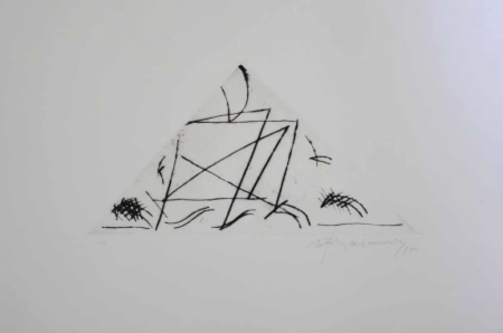 Гравюра Ràfols Casamada - Jardí 5