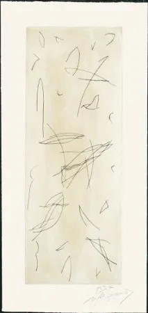 Гравюра Ràfols Casamada - Ocells-1