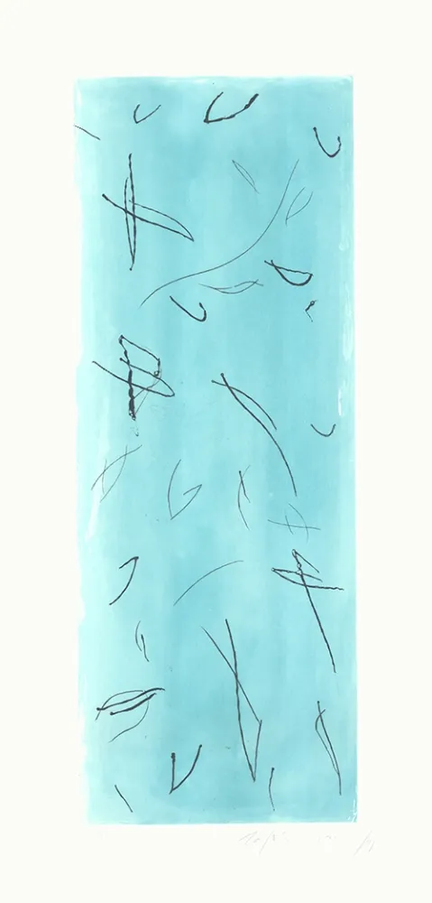 Гравюра Ràfols Casamada - Ocells-2