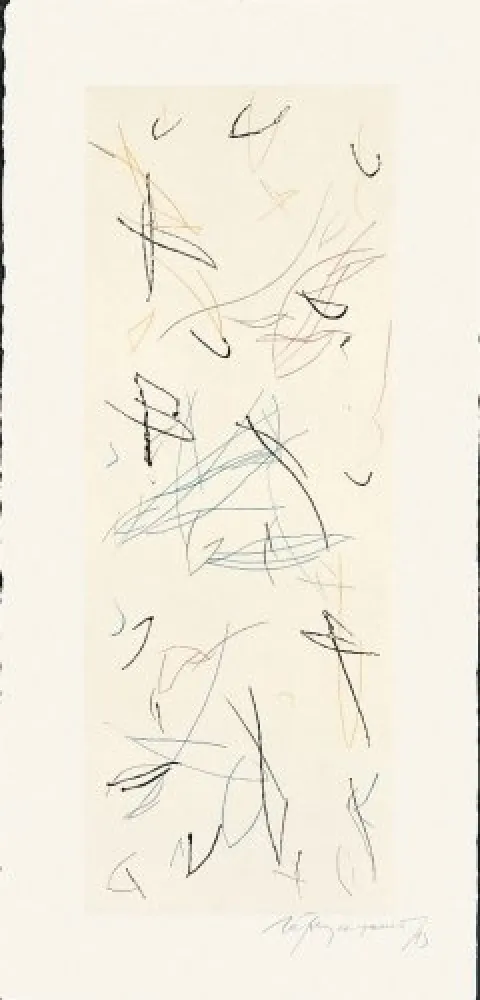 Гравюра Ràfols Casamada - Ocells-Variant 1-2