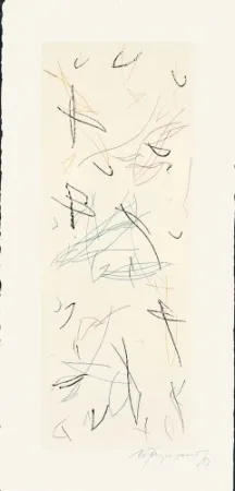 Гравюра Ràfols Casamada - Ocells-Variant 1-2