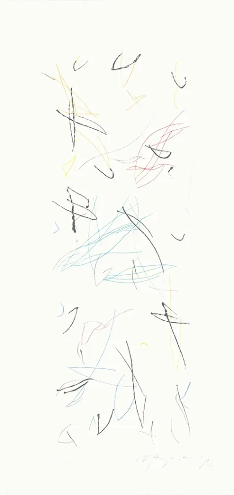 Гравюра Ràfols Casamada - Ocells variant 1-2