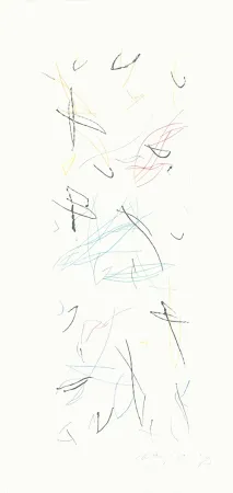 Гравюра Ràfols Casamada - Ocells variant 1-2