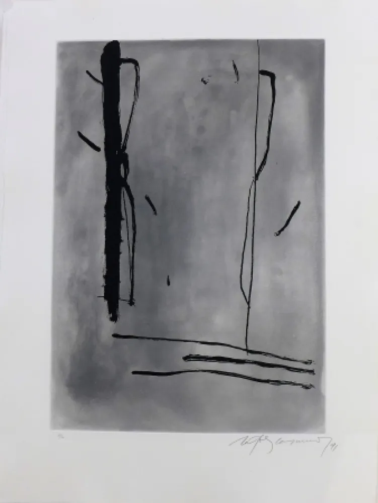 Гравюра Ràfols Casamada - Signe i color-1	 