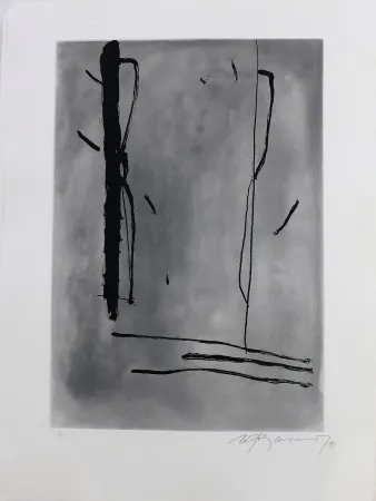 Гравюра Ràfols Casamada - Signe i color-1	 