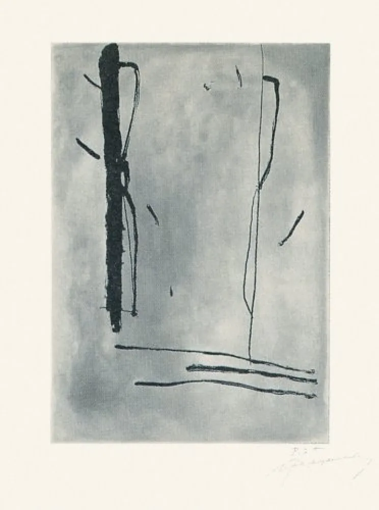 Гравюра Ràfols Casamada - Signe i color-1