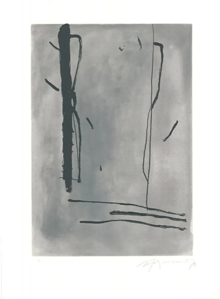 Офорт И Аквитанта Ràfols Casamada - Signe i Color-1