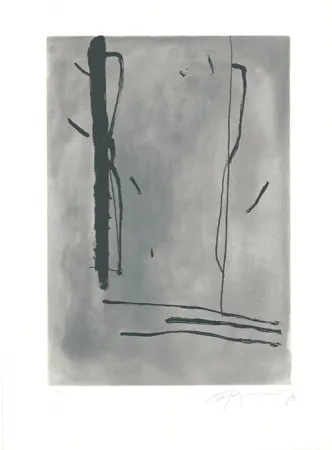 Офорт И Аквитанта Ràfols Casamada - Signe i Color-1