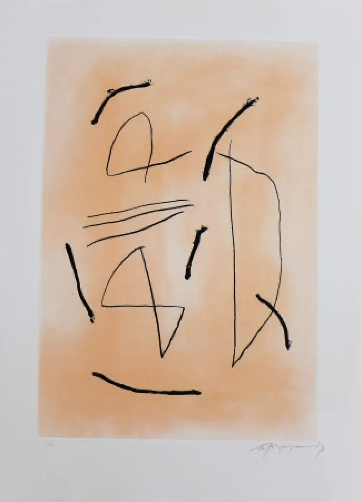 Гравюра Ràfols Casamada - Signe i color-4 