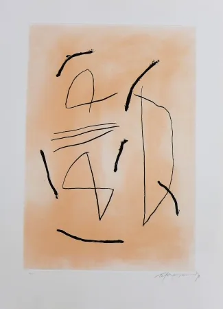 Гравюра Ràfols Casamada - Signe i color-4 