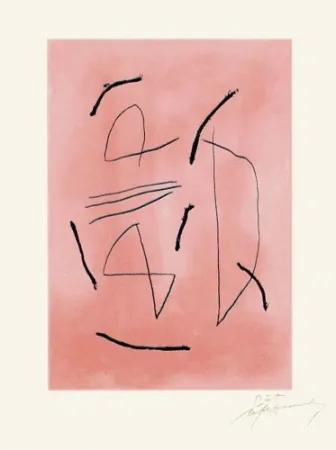 Гравюра Ràfols Casamada - Signe i color-4