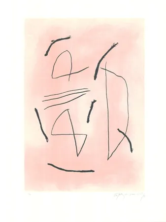 Офорт И Аквитанта Ràfols Casamada - Signe i color 4