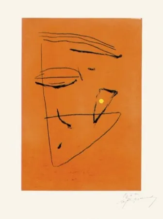 Гравюра Ràfols Casamada - Signe i color - 5