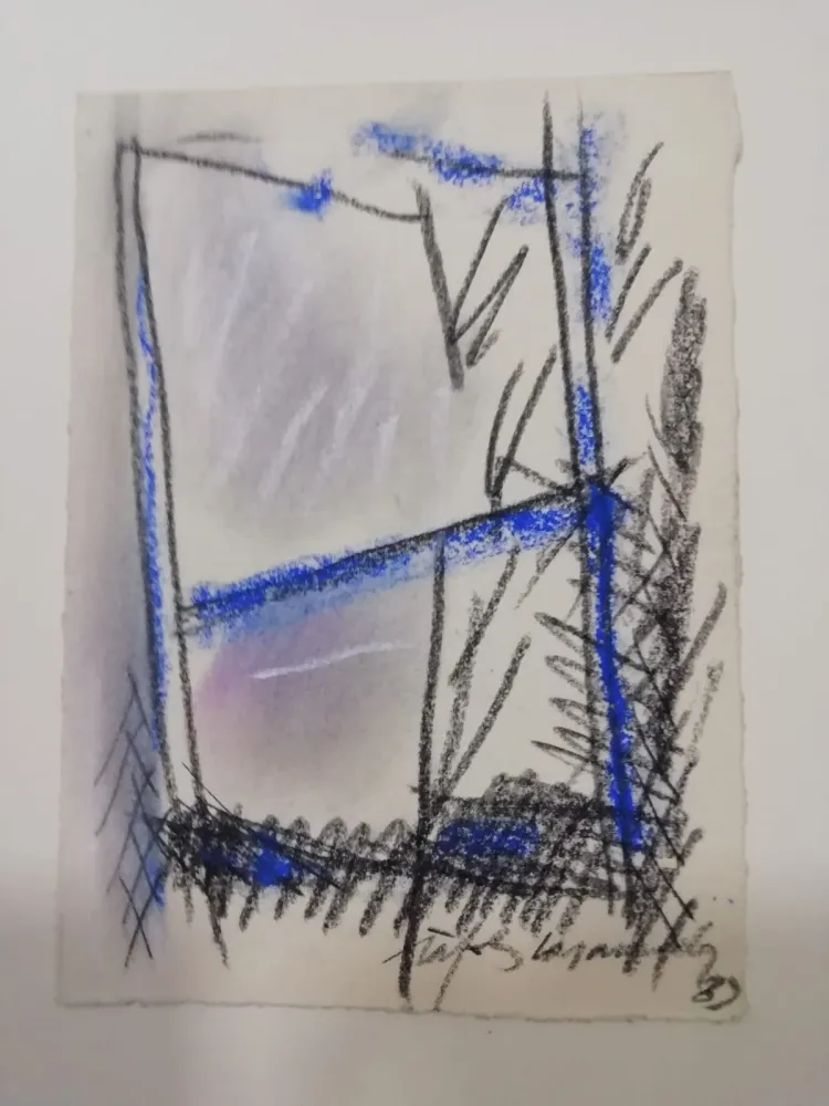 Нет Никаких Технических Ràfols Casamada - S/T