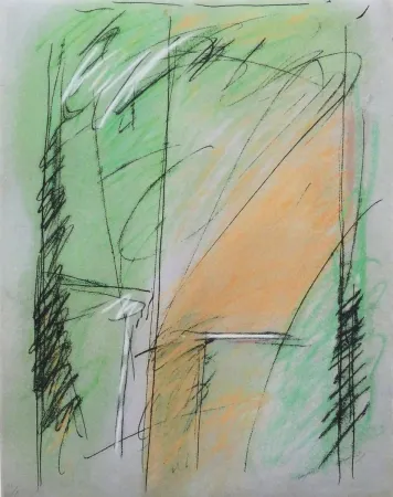 Гравюра Ràfols Casamada - Verd