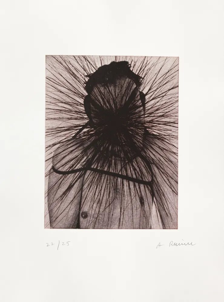 Гравюра Rainer - Fesselzentrum