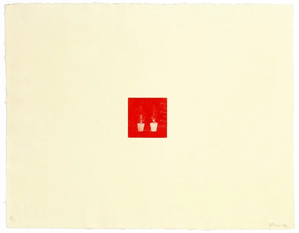 Гравюра Ramírez Suass - S'enraciner