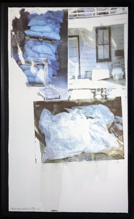 Сериграфия Rauschenberg - Daydream (Speculations)