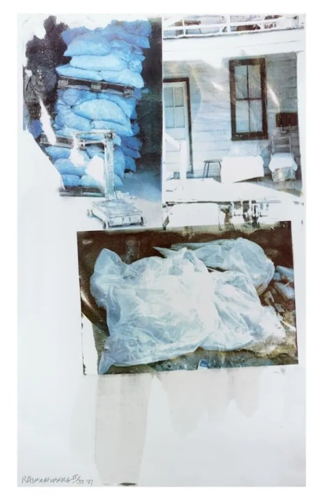 Сериграфия Rauschenberg - Daydream (Speculations)