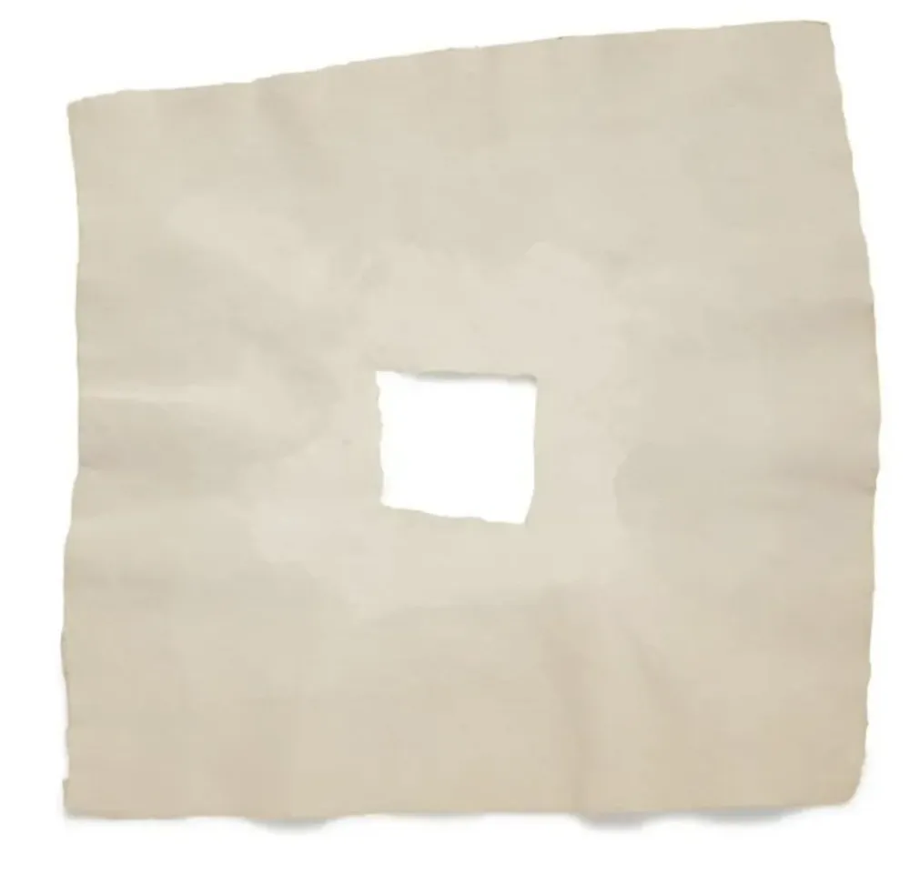 Многоэкземплярное Произведение Rauschenberg - Page III