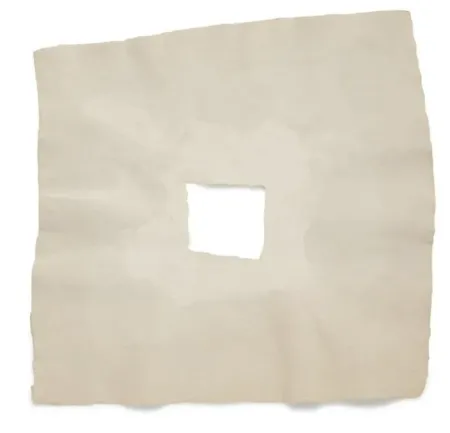 Многоэкземплярное Произведение Rauschenberg - Page III