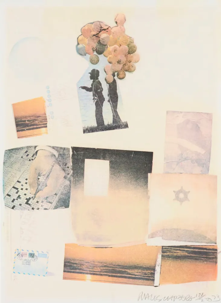 Сериграфия Rauschenberg - Support