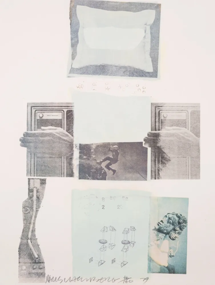 Гашение Rauschenberg - Two Reasons Birds Sing, from Suite of Nine Prints