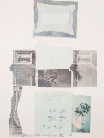 Гашение Rauschenberg - Two Reasons Birds Sing, from Suite of Nine Prints