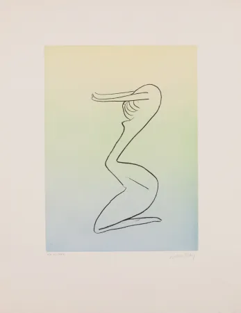 Акватинта Ray - Man Ray (1890–1976) - Anatoms without Rime or Reason for Every Season - Aquatint and soft ground on paper - 1970