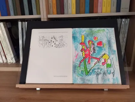 Иллюстрированная Книга Ray - No 45