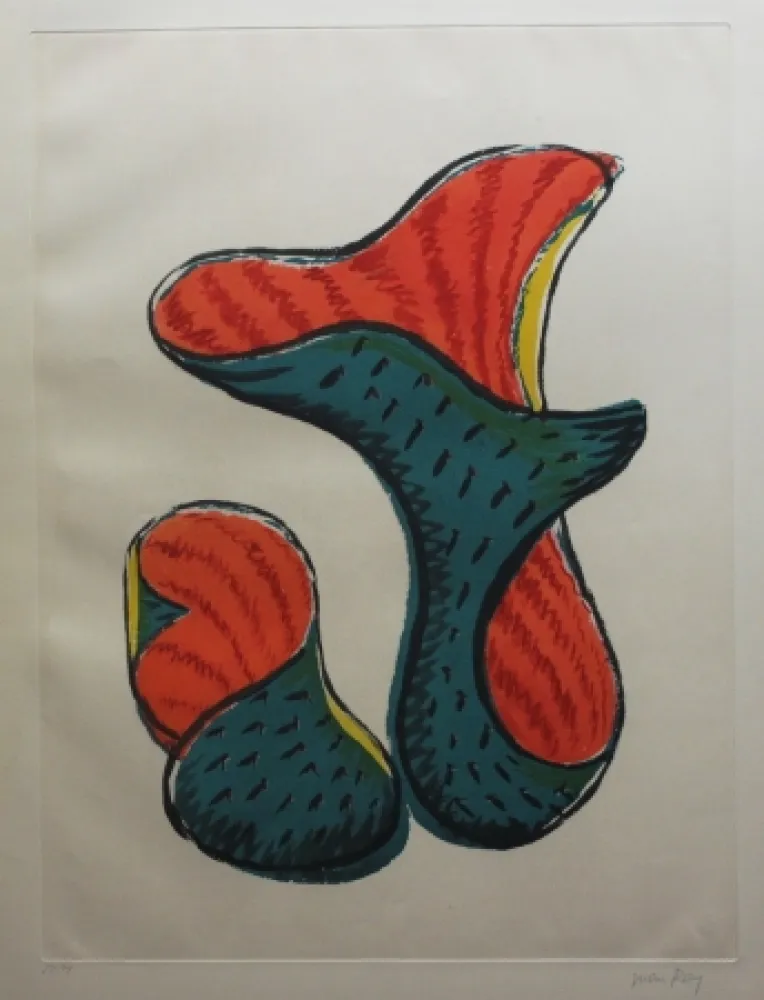 Офорт И Аквитанта Ray - Transfiguration d'un cactus