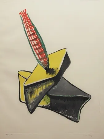 Офорт И Аквитанта Ray - Transfiguration d'un cactus