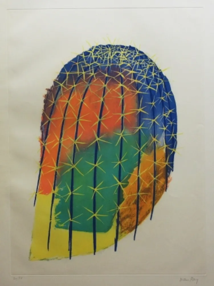 Офорт И Аквитанта Ray - Transfiguration d'un cactus