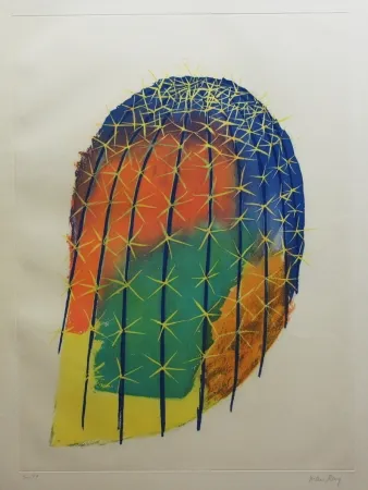 Офорт И Аквитанта Ray - Transfiguration d'un cactus