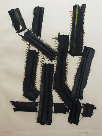 Офорт И Аквитанта Ray - Transfiguration d'un cactus