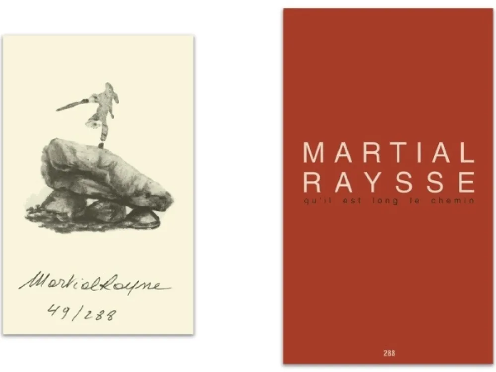 Иллюстрированная Книга Raysse - L'art en écrit