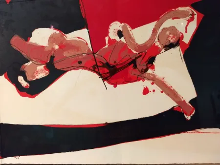 Иллюстрированная Книга Rebeyrolle - Coexistances