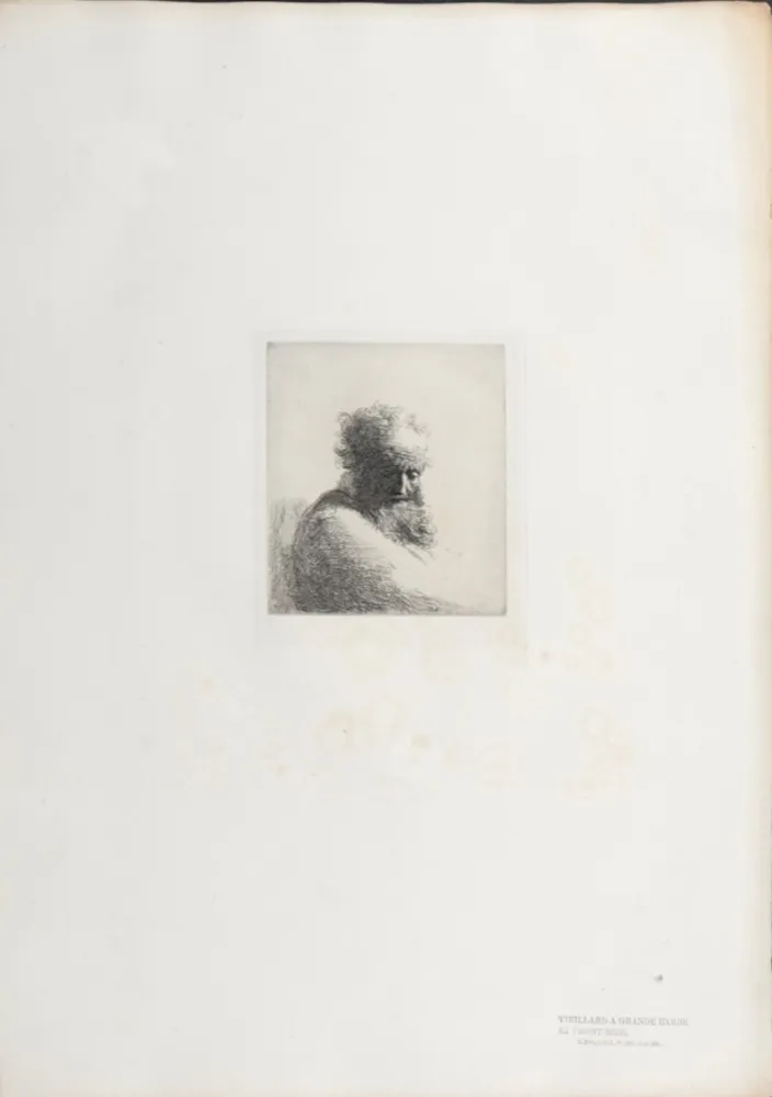 Фототипия Rembrandt - Veillard à grande barbe et front ridé