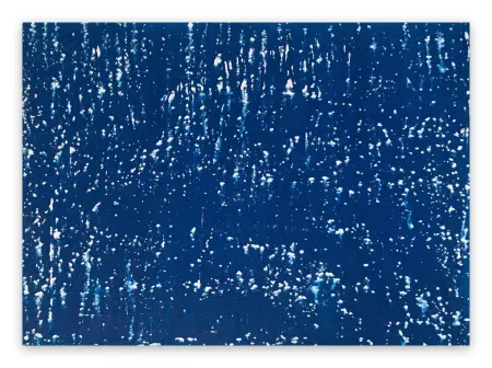 Нет Никаких Технических Reyna - Untitled 20207 