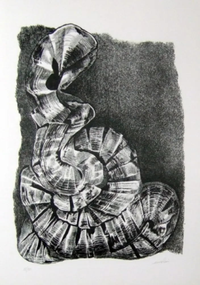 Иллюстрированная Книга Ricci - Lettera a un amico (e, indirettamente, a tutti gli altri)