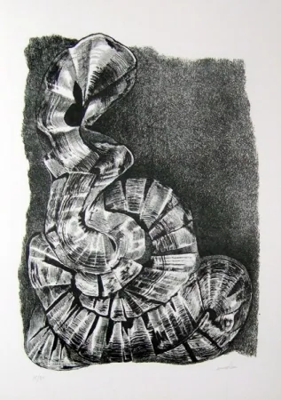 Иллюстрированная Книга Ricci - Lettera a un amico (e, indirettamente, a tutti gli altri)