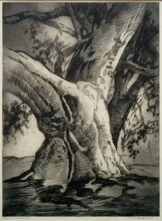 Гравюра Сухой Иглой Rice - The Le Conte Oak